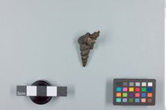 Foto (Seitenansicht) von buddistisches Amulett 2 (NHMW-ZOO-MO-0081100-ETH-114)